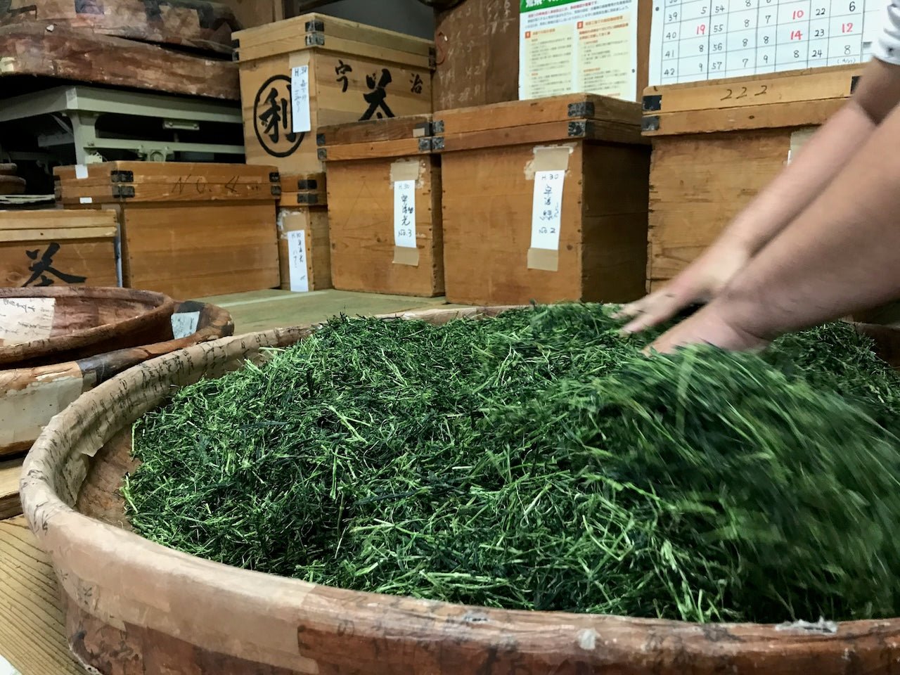 Gyokuro | A Great Way to Start your Day - O-FIVE RARE TEA BAR