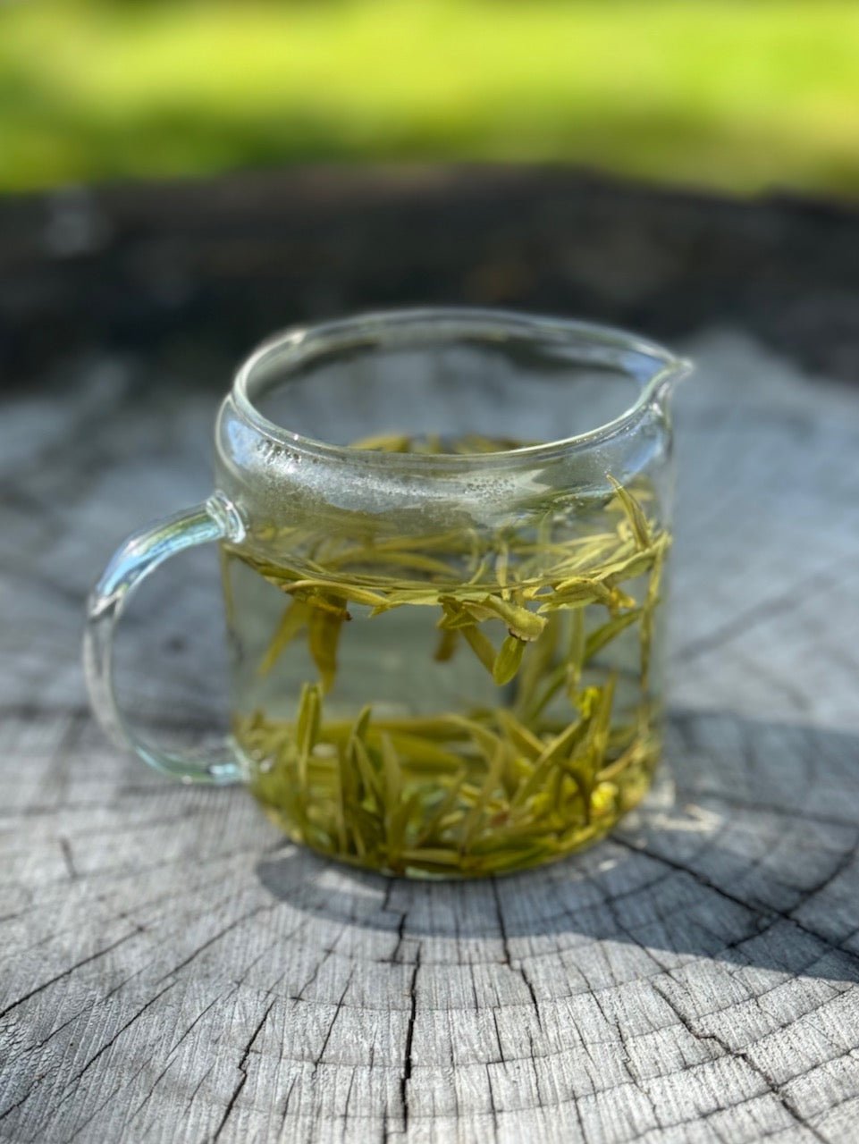 Heirloom Green Tea, China, Korea and Japan - O-FIVE RARE TEA BAR