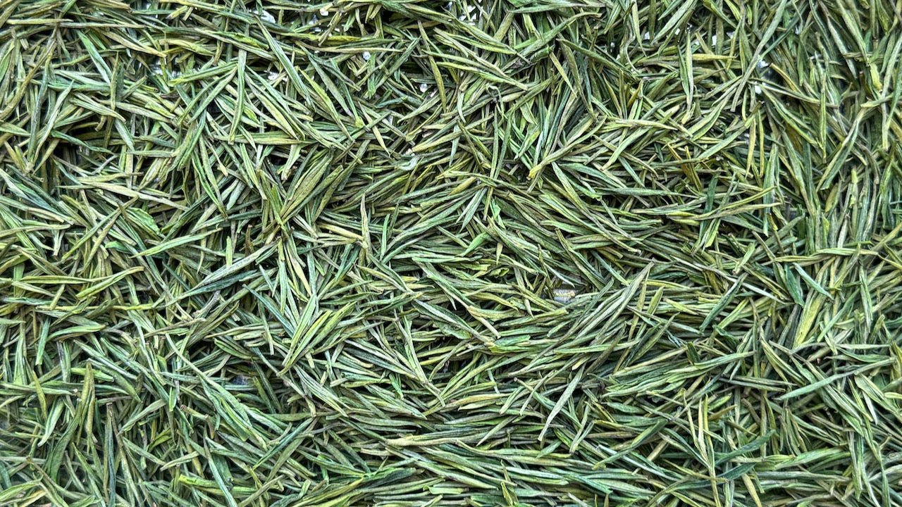 Anji Bai Cha Green Tea, heirloom Chinese green, tea classic, loose leaf, antioxidants