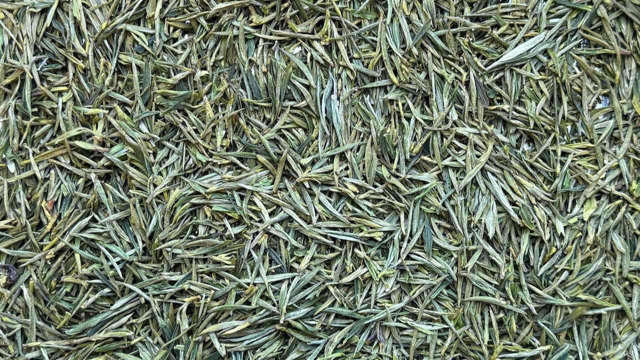 Guzhu Zisun Green Tea, heirloom Chinese green, tea classic, loose leaf, antioxidants
