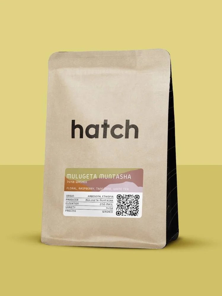 Hatch - Mulugeta Muntasha - O5 RARE TEA BAR