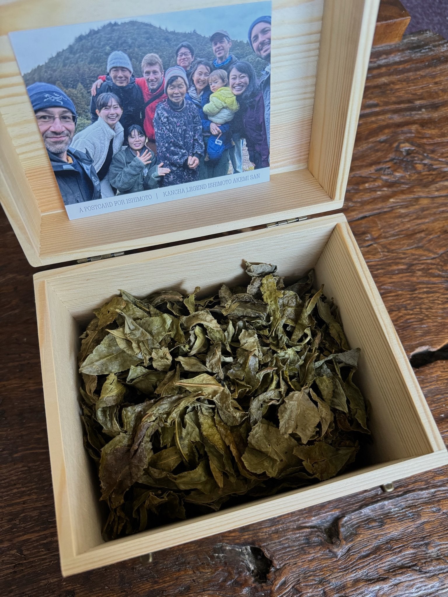 TEA CHEST + CULTURE QUEST | Ishimoto Akemi's Winter Tea (Kancha) - O - FIVE RARE TEA BAR